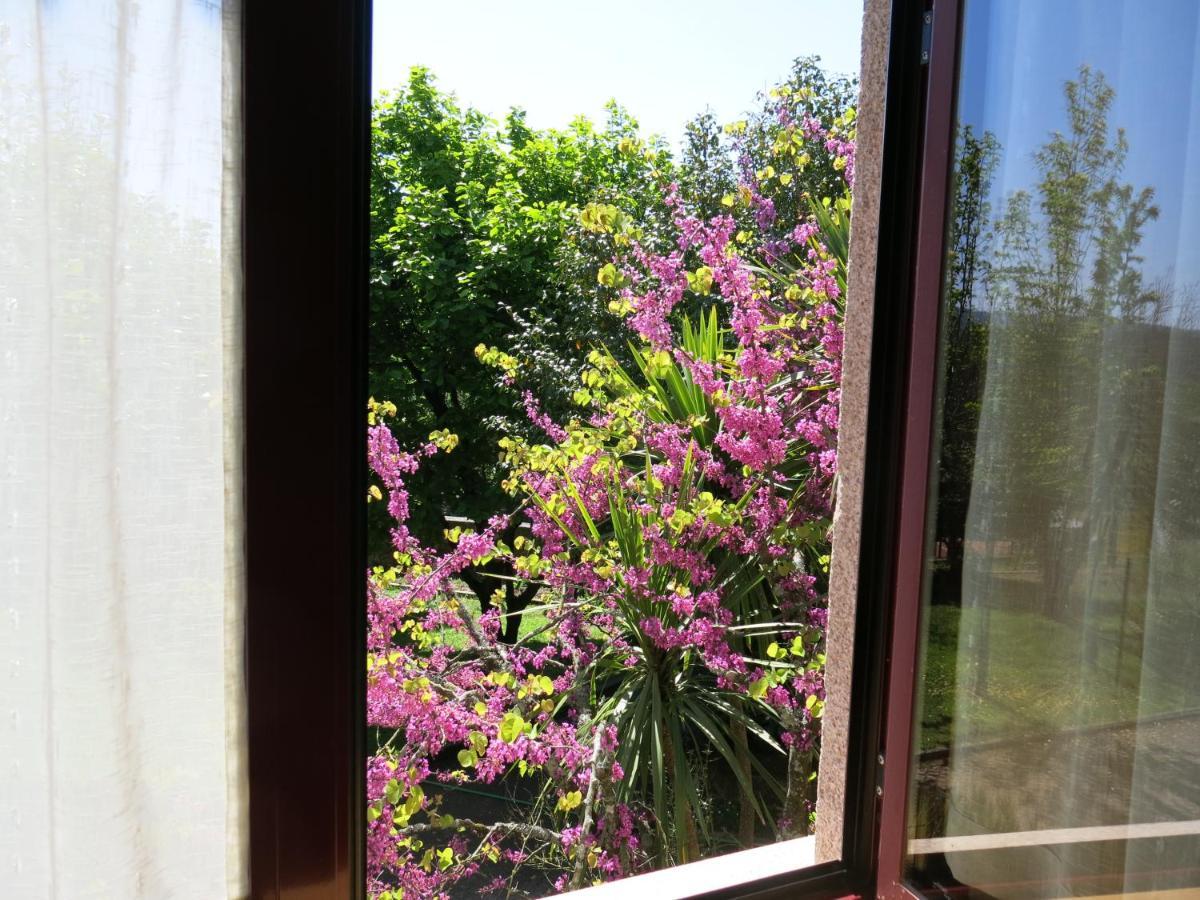 Casa Dos Tinocos Villa Braga Dış mekan fotoğraf