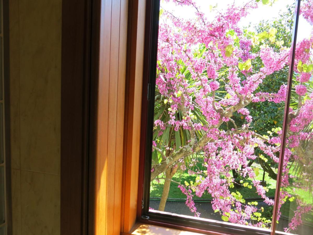 Casa Dos Tinocos Villa Braga Dış mekan fotoğraf