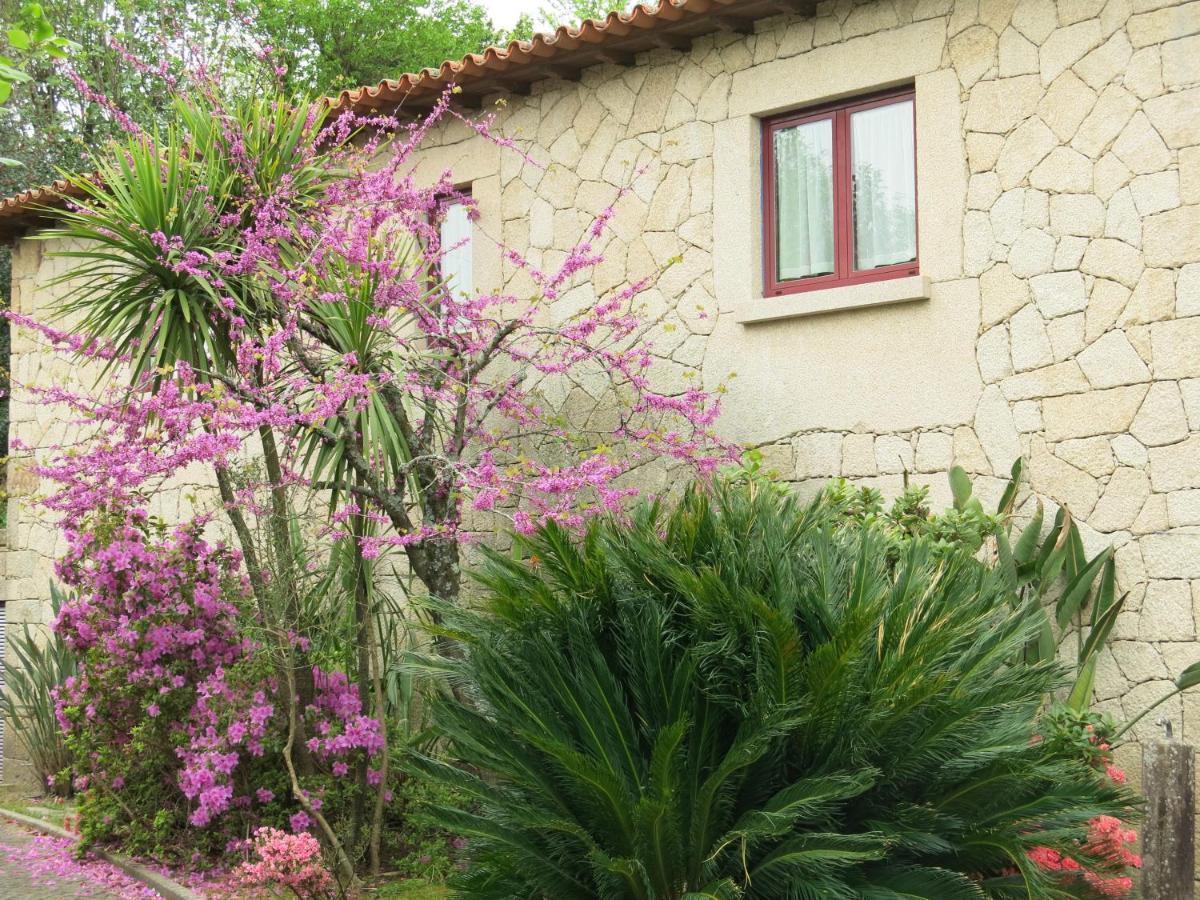 Casa Dos Tinocos Villa Braga Dış mekan fotoğraf
