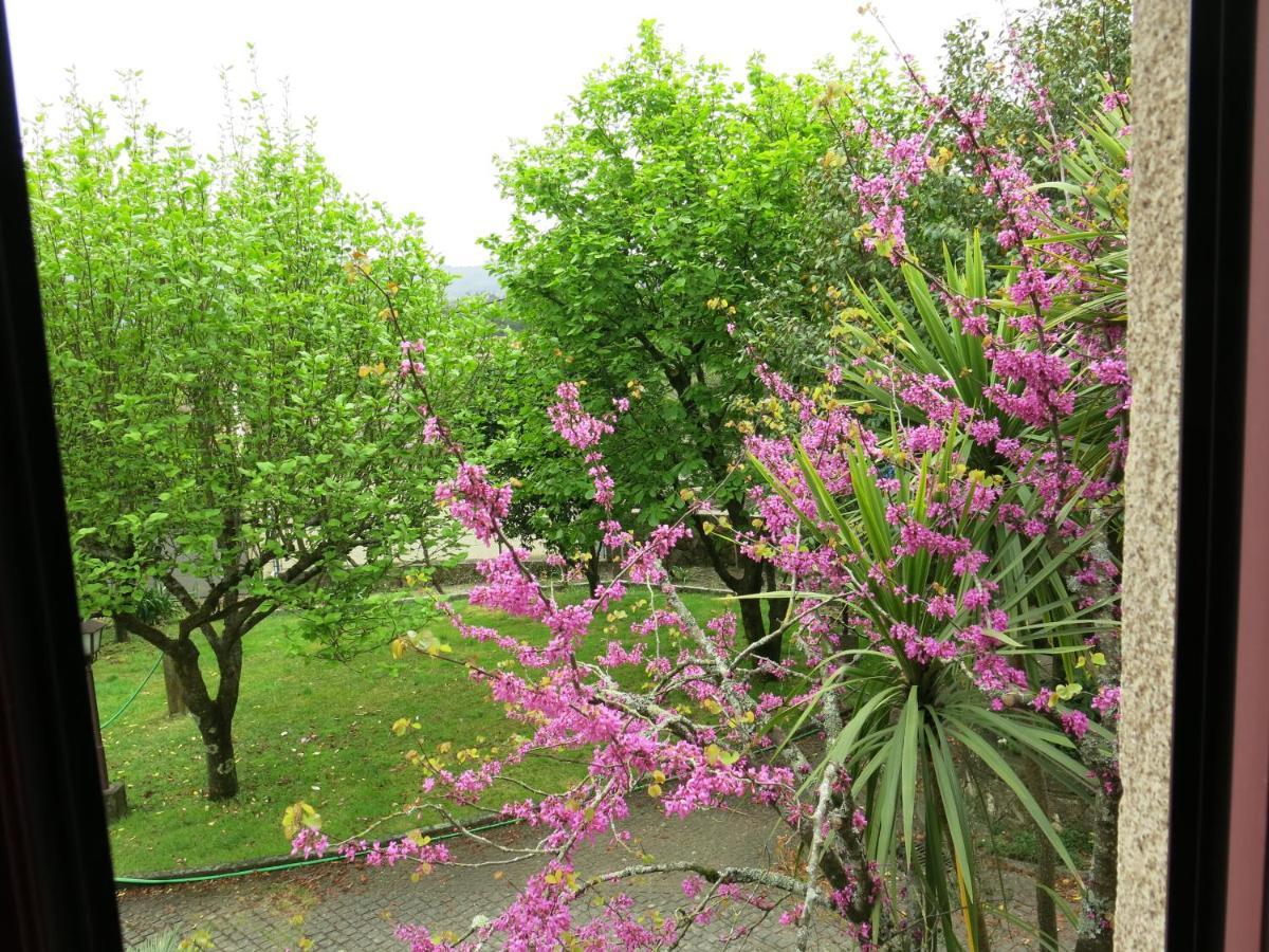 Casa Dos Tinocos Villa Braga Dış mekan fotoğraf