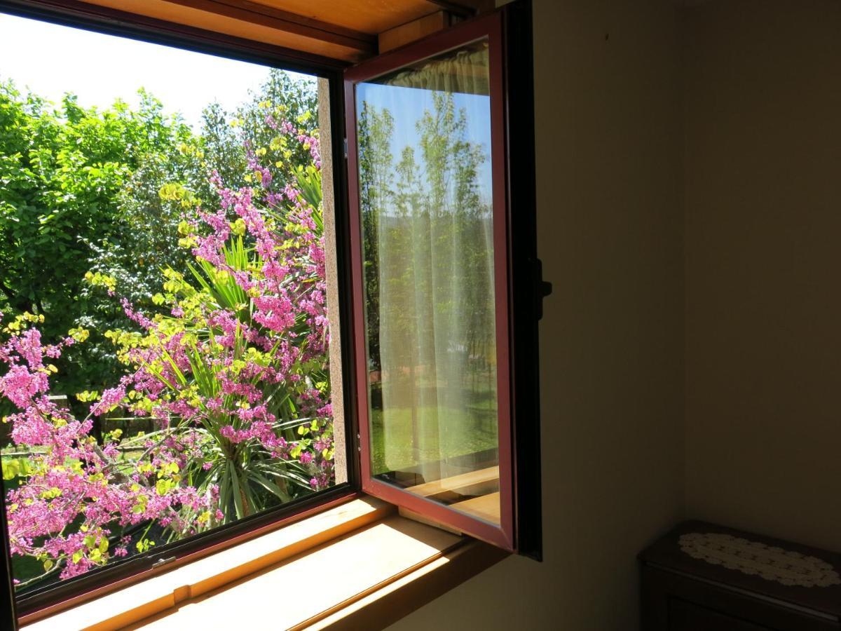 Casa Dos Tinocos Villa Braga Dış mekan fotoğraf