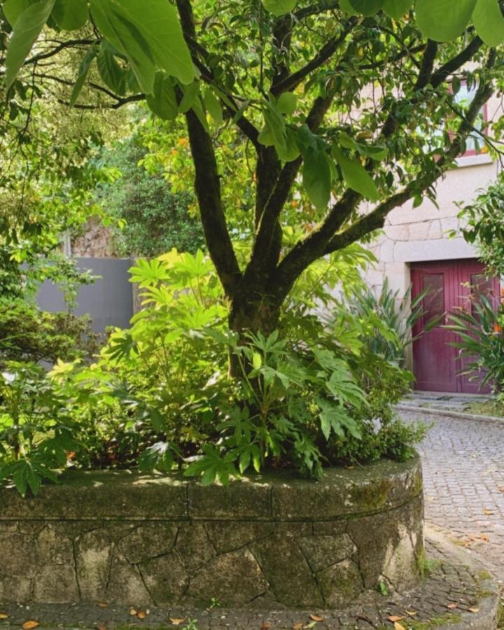 Casa Dos Tinocos Villa Braga Dış mekan fotoğraf